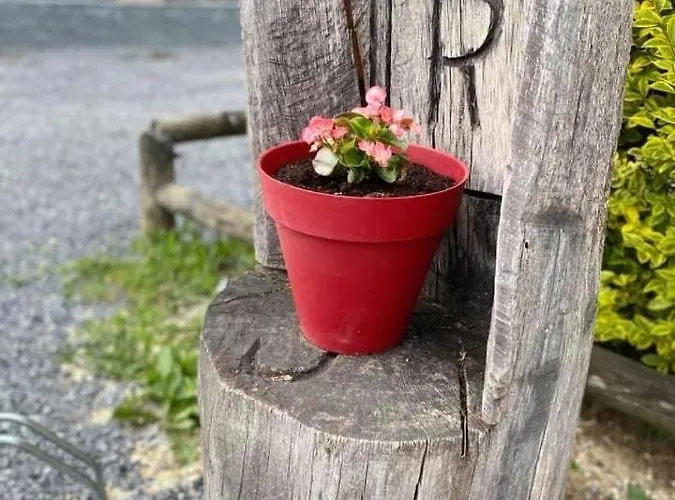 Restaurant Robinson Haybes